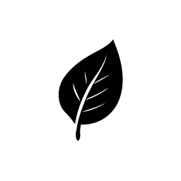 Né Segredo Art e Planta